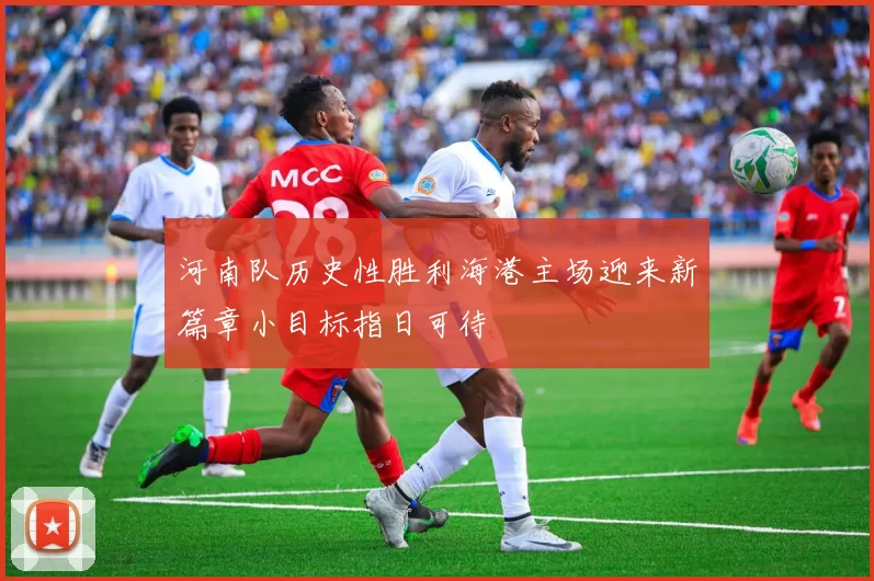 河南队历史性胜利海港主场迎来新篇章小目标指日可待
